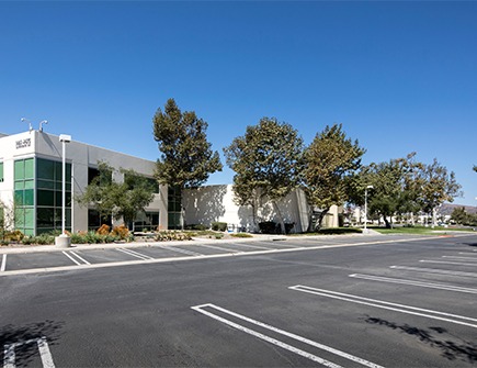 conejo image