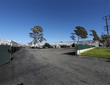 e dominguez image