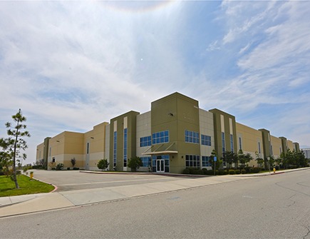 kendall image